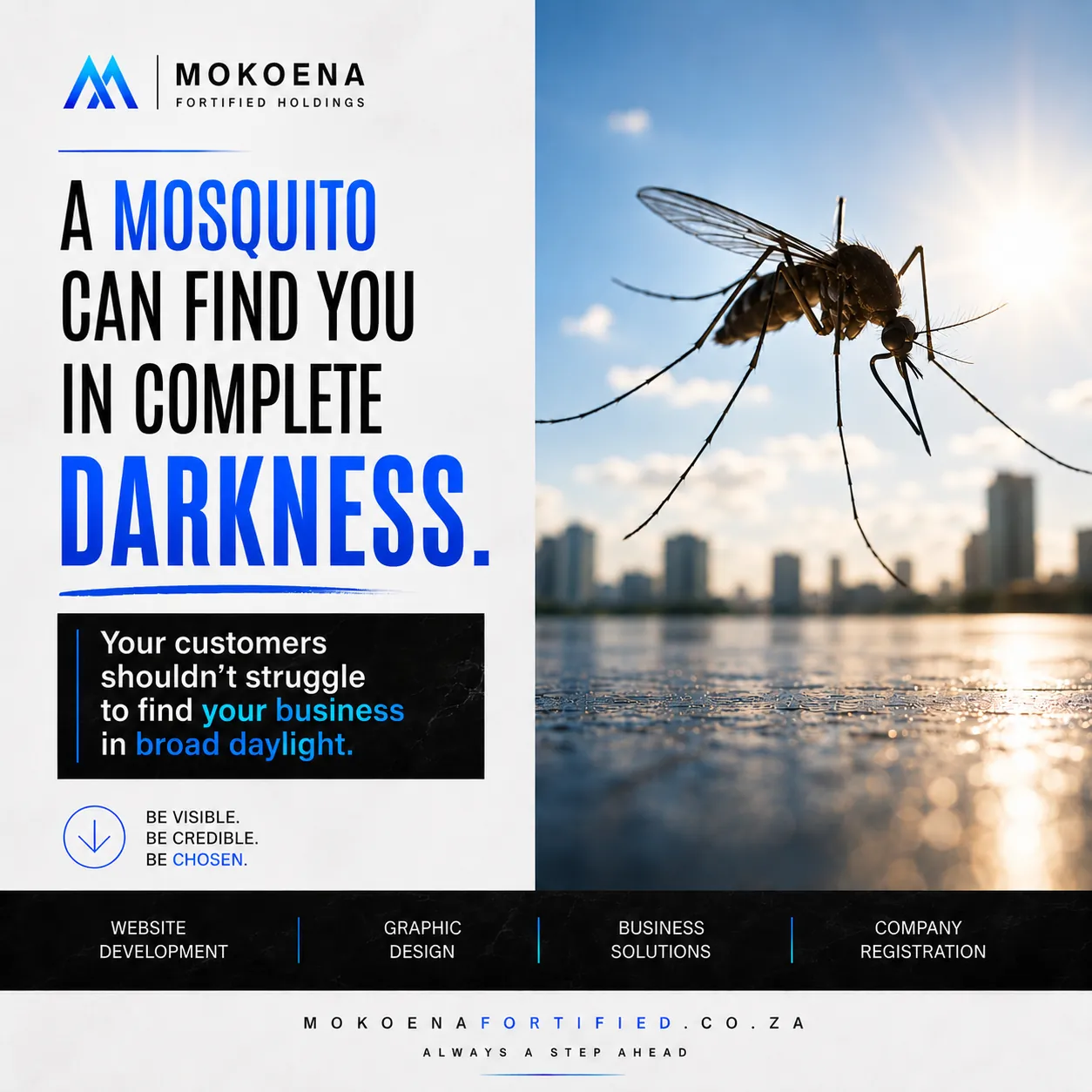 Mokoena Fortified Holdings stand out from competitors advertising poster